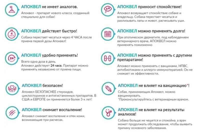 Препарат против зуда у собак Apoquel (Апоквел) by Zoetis, 16 мг, 100 табл K157 фото