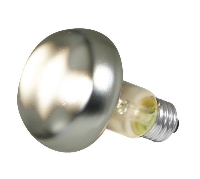 Точечная лампа ZooMed Basking Spot Lamp для террариума, 100 Вт K1709 фото