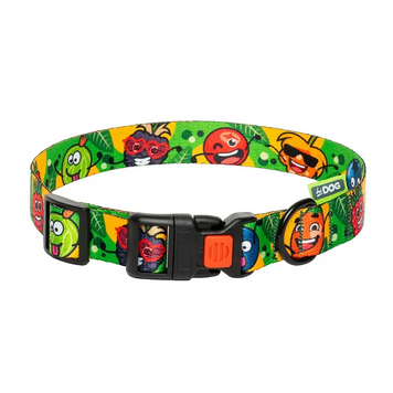 Ошейник HiDog "Crazy green fruits", размер L, ширина 25 мм, длина 35-45 см K1737 фото