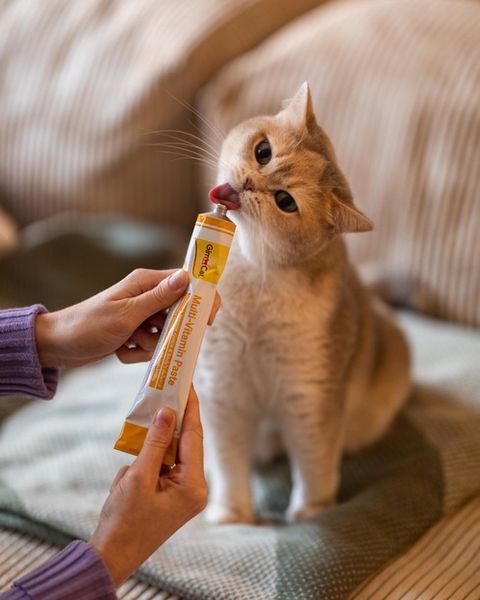 Паста для кошек GimCat Multi-Vitamin (Джим Кет), 100 г K1074 фото