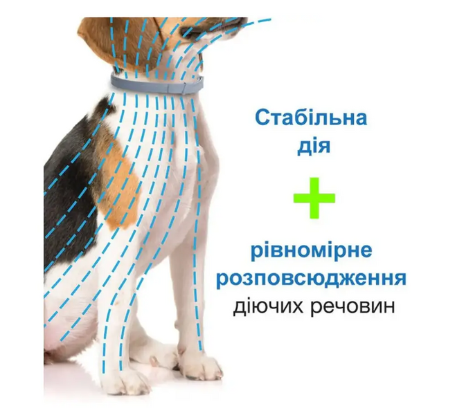 Ошейник Elanco (Bayer) Foresto от блох и клещей, для кошек и собак малых пород, 38 см K1040 фото