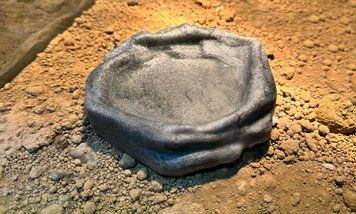 Миска ZooMed Repti Rock Water Dish для води для рептилій, S - 12,5 x 14 x 2,5 см A1985-1 фото