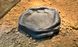 Миска ZooMed Repti Rock Water Dish для воды для рептилий, M - 16,5 x 14 x 3,8 см K1985 фото 3