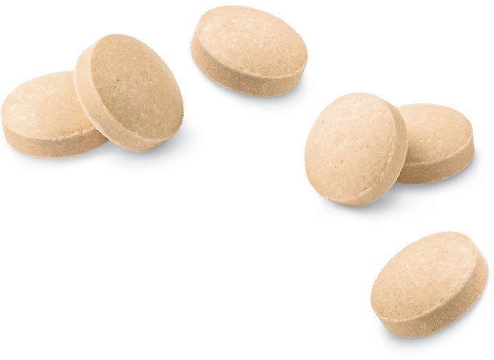 Витамины GimCat Nutri Biotin Bites с маскарпонэ и биотином для улучшения состояния шерсти и кожи кошек, 425 г K1280 фото